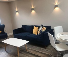 Modern 1 Bed 1 Bath in Central Dublin Location