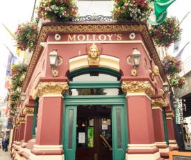 Molloys Apartments