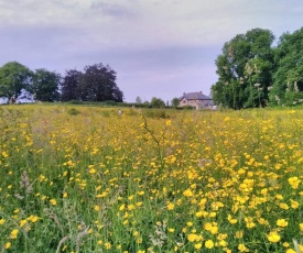 Castletownmoor Clinic & Permaculture Farm