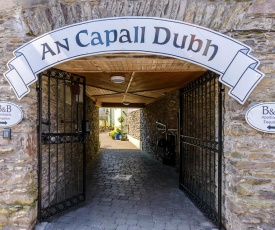 Dingle Centre Townhouse An Capall Dubh Dingle