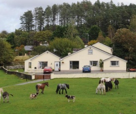 Muckross Riding Stables