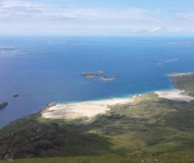 Old head view